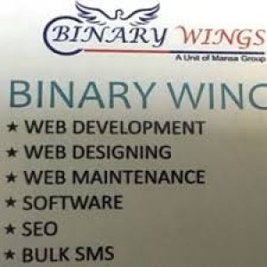 Binary Wings